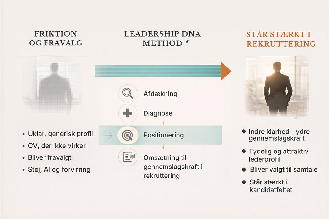 jobsøgning ledere med the leadership dna method