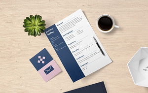 perfekt cv Få opdateret dit CV layout