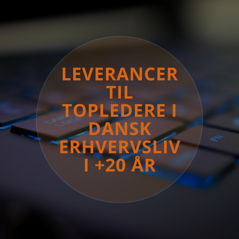 leverancer til topledere i dansk erhvervsliv i +20 år